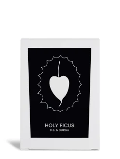 Candela Holy Ficus 200gr