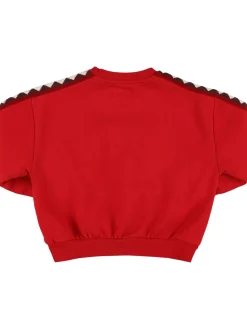 Felpa in cotone organico
