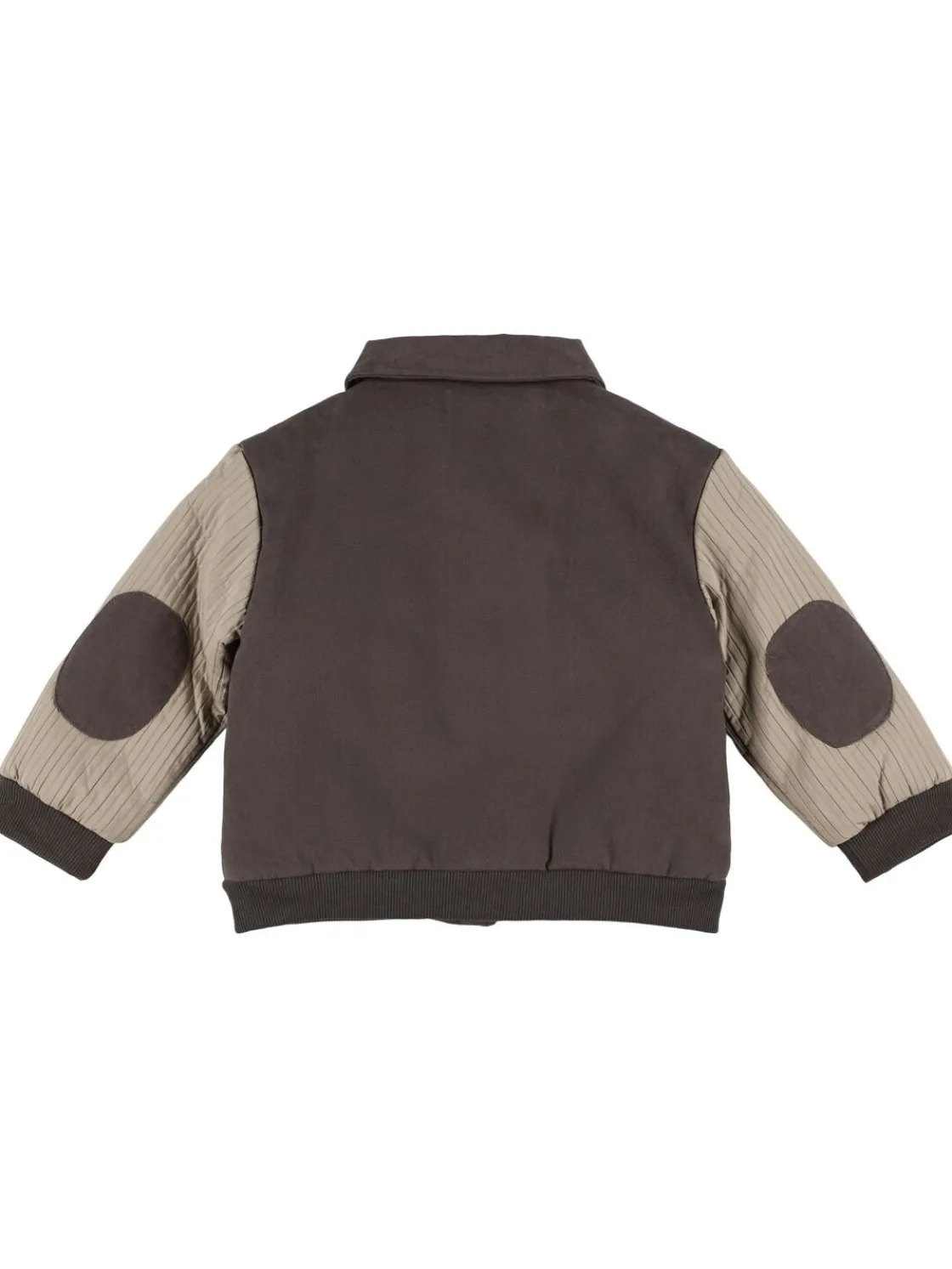 Giacca imbottita Koala in misto cotone