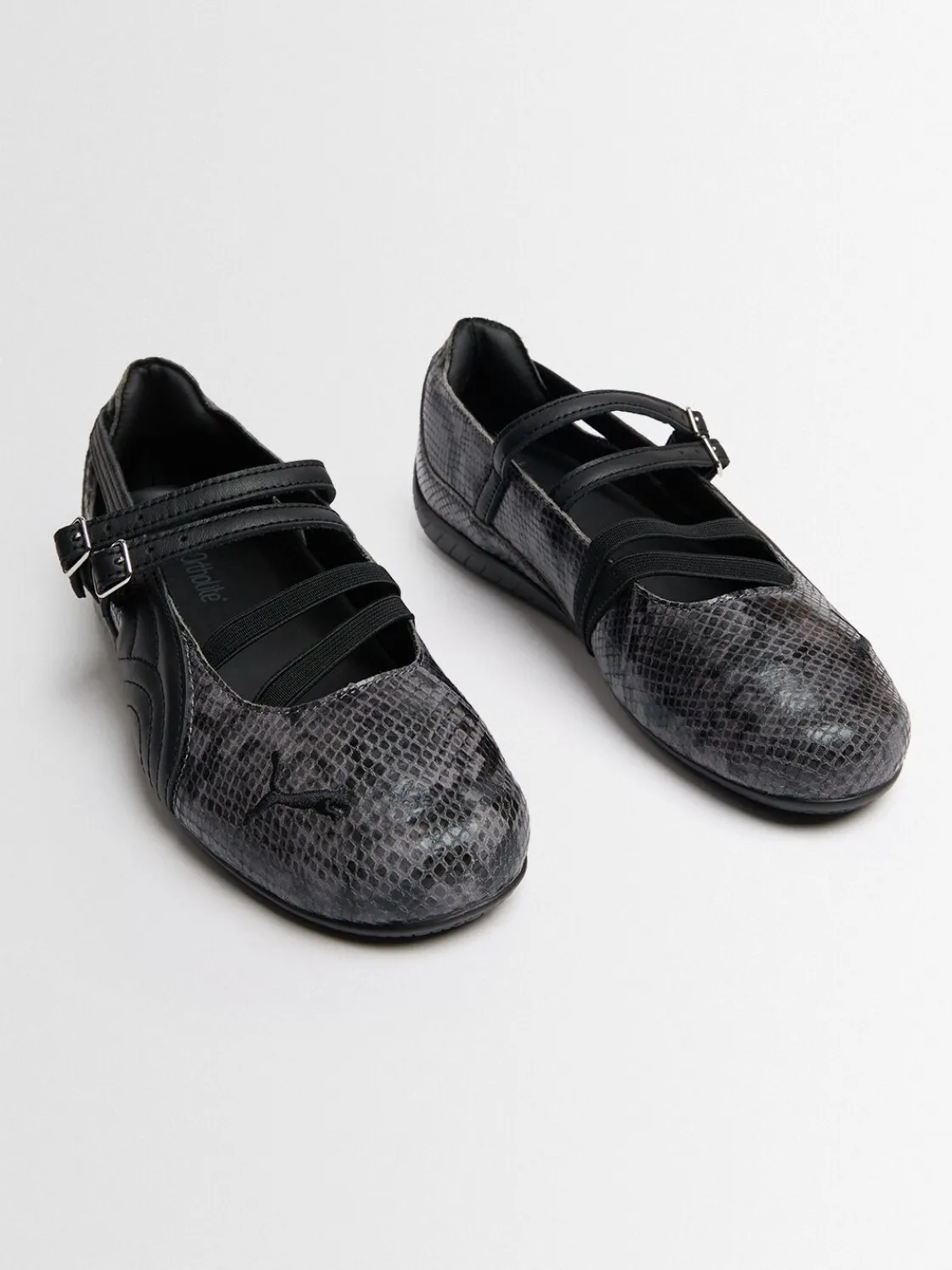 Speedcat Ballet snake embossed sneakers